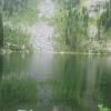 Hike to Lake Geneva, a lake sitting at the base of Mt. Robinson, elevaton 7650'
